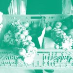 Nachhaltigkeit für alle – Konzepte zur Demokratisierung des Ernährungssystems
